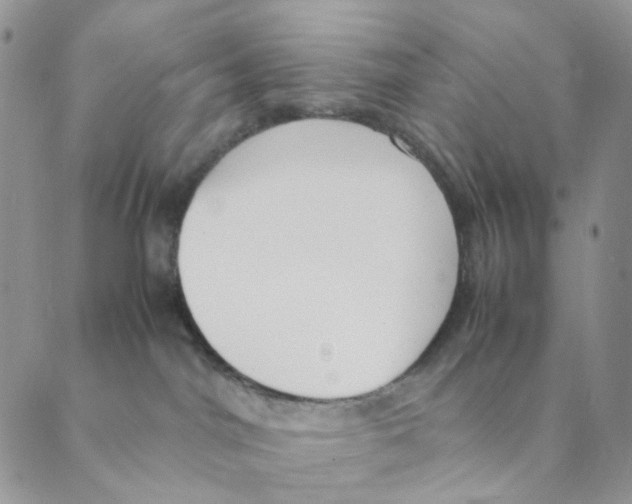 X0000088580044200706221327