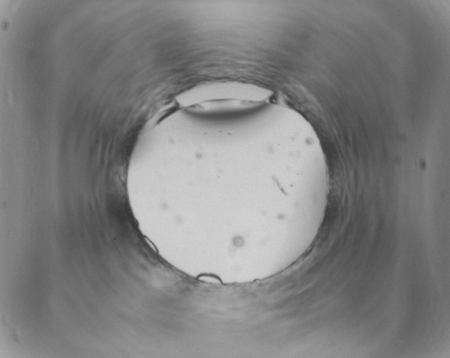 X0000088580045200706221327