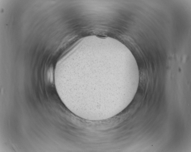 X0000088580046200706221327