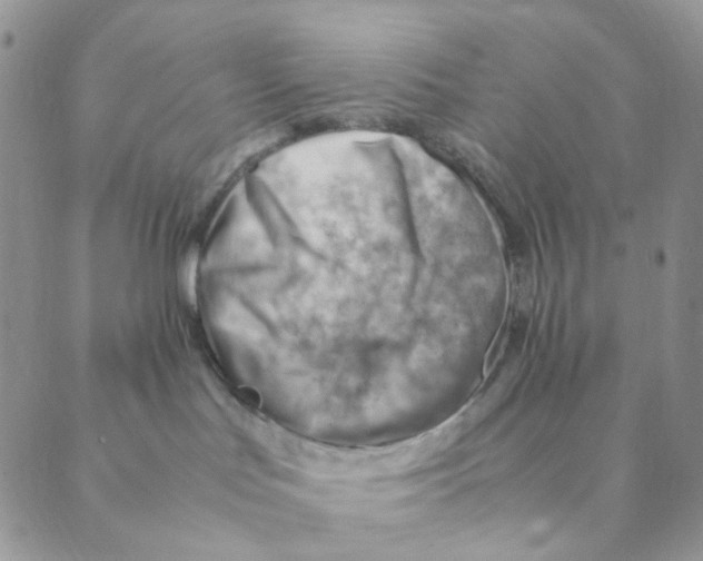 X0000088580047200706221327