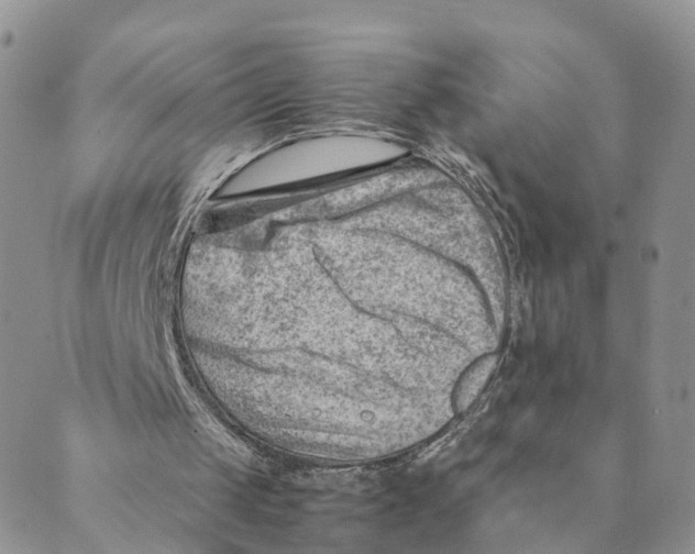 X0000088580049200706221326