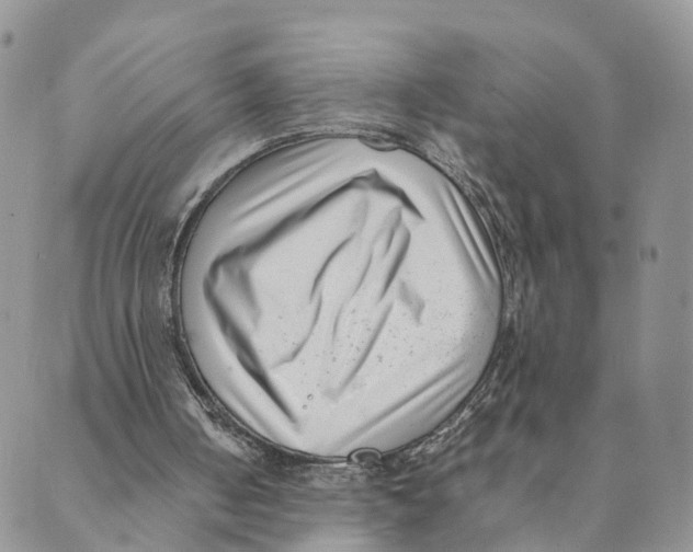 X0000088580050200706221326