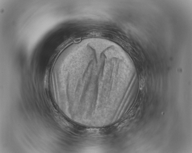 X0000088580052200706221326