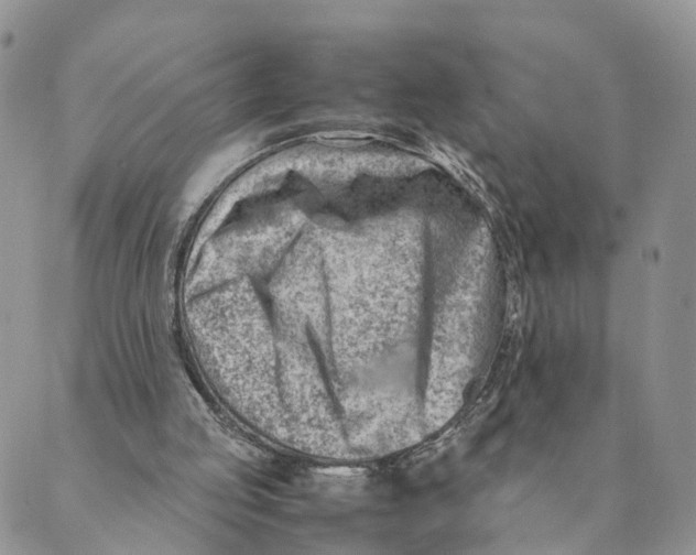 X0000088580053200706221326