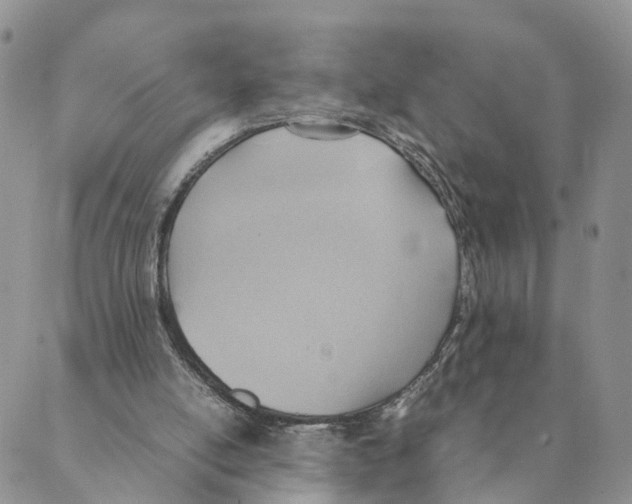 X0000088580054200706221326