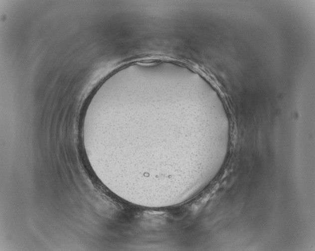 X0000088580055200706221326