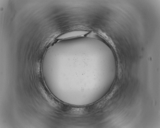 X0000088580057200706221326