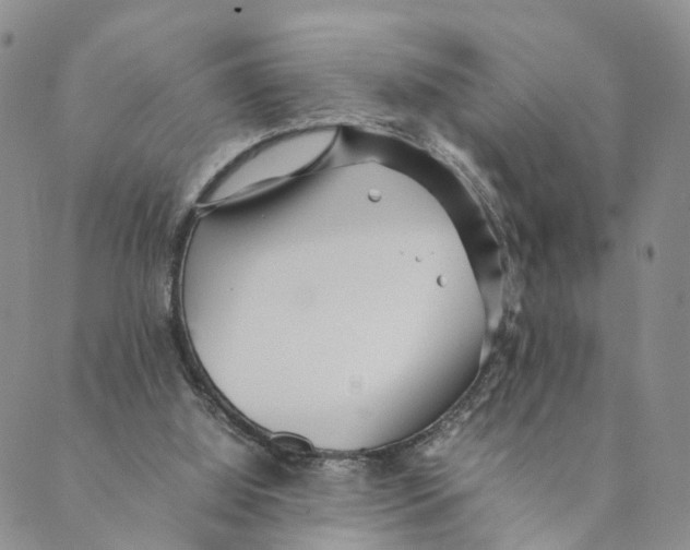 X0000088580060200706221326