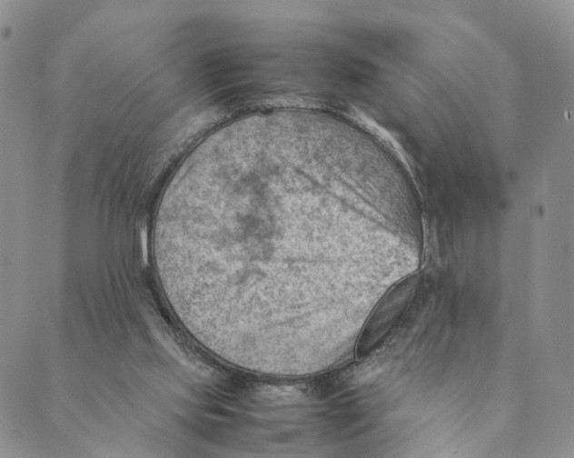 X0000088580061200706221326