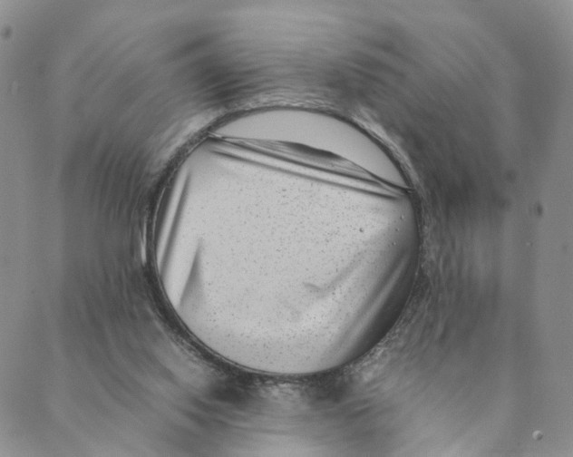 X0000088580062200706221326