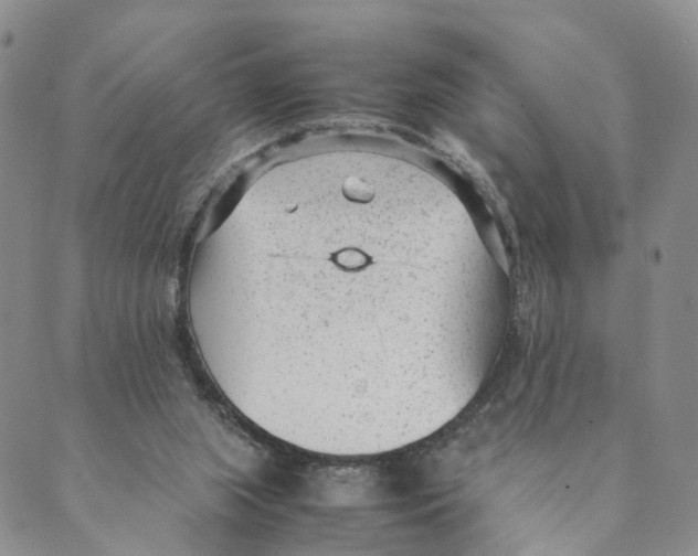 X0000088580063200706221326