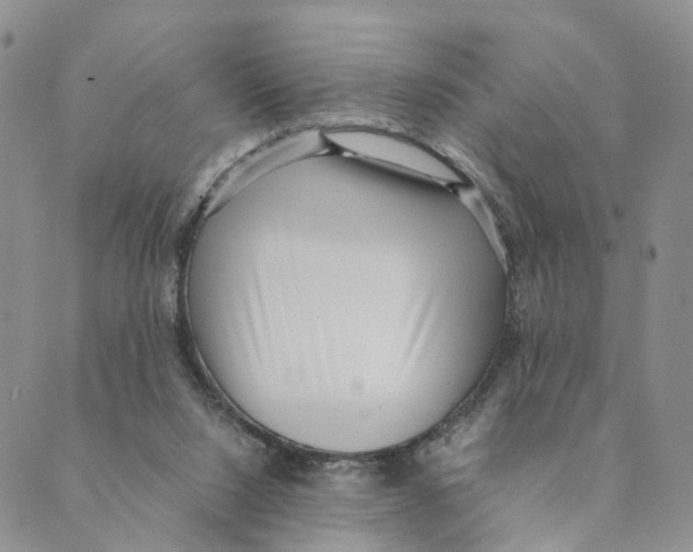 X0000088580064200706221326