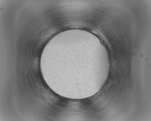 X0000088580066200706221326