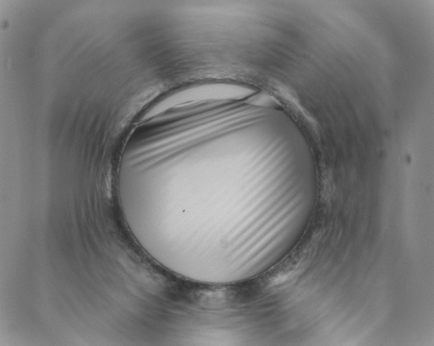 X0000088580068200706221326