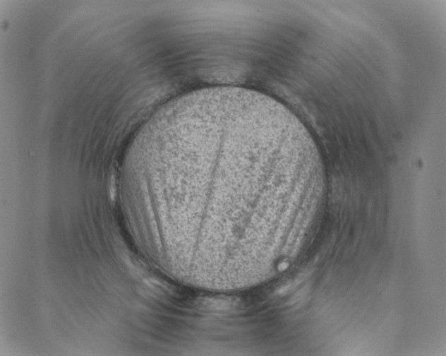 X0000088580069200706221326