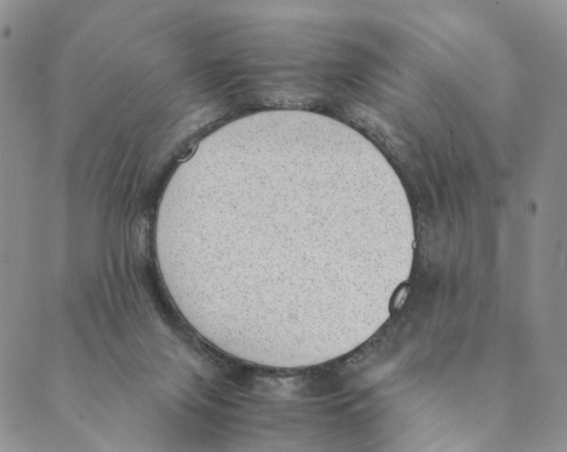 X0000088580071200706221326