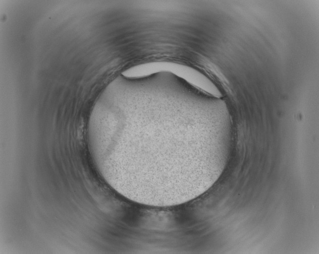 X0000088580073200706221326