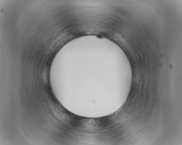 X0000088580074200706221326