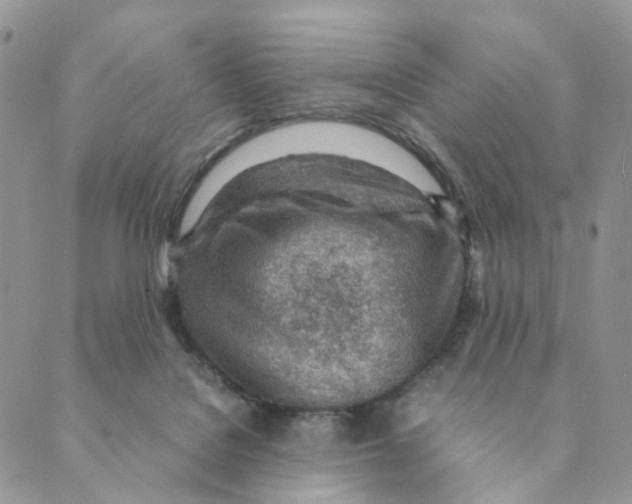 X0000088580076200706221326