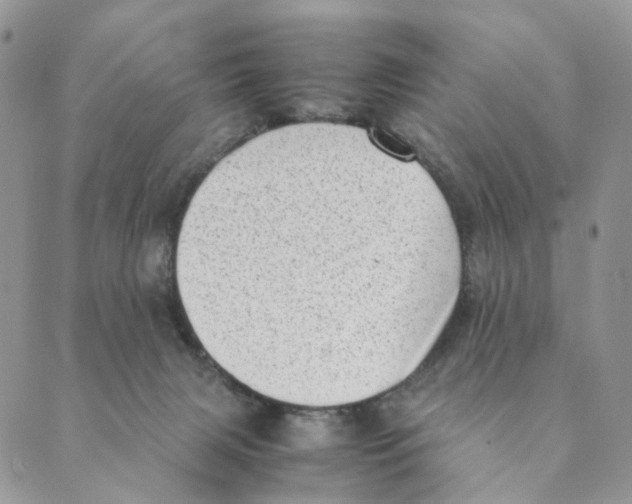 X0000088580079200706221327