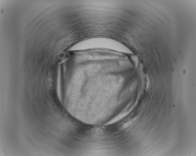 X0000088580080200706221327