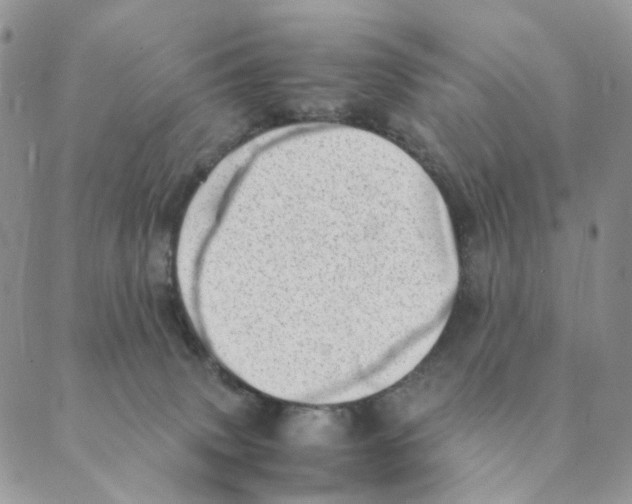 X0000088580083200706221327