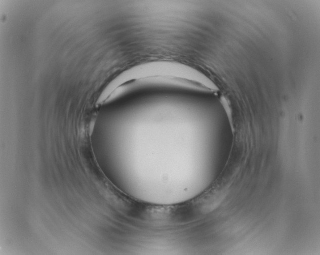 X0000088580084200706221327