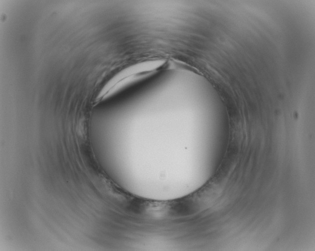 X0000088580088200706221327