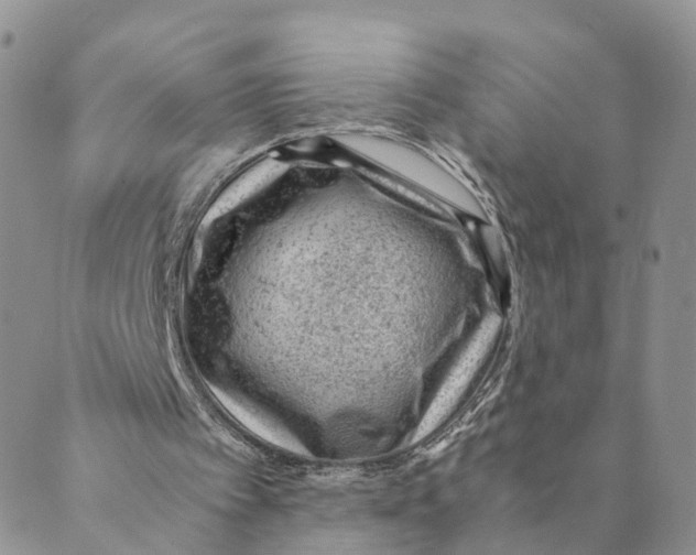 X0000088580097200706221326