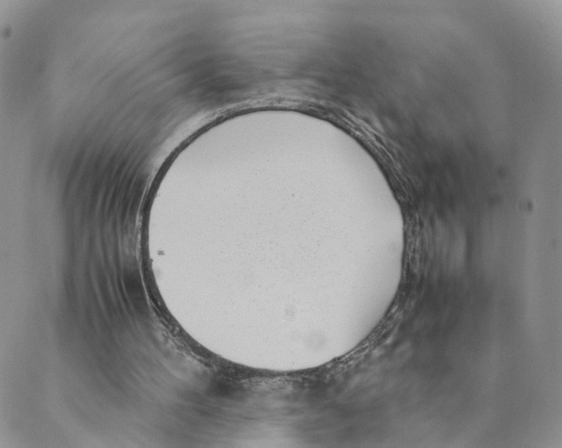 X0000088580100200706221326