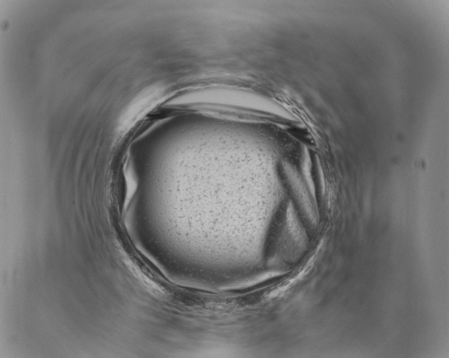 X0000088580101200706221326