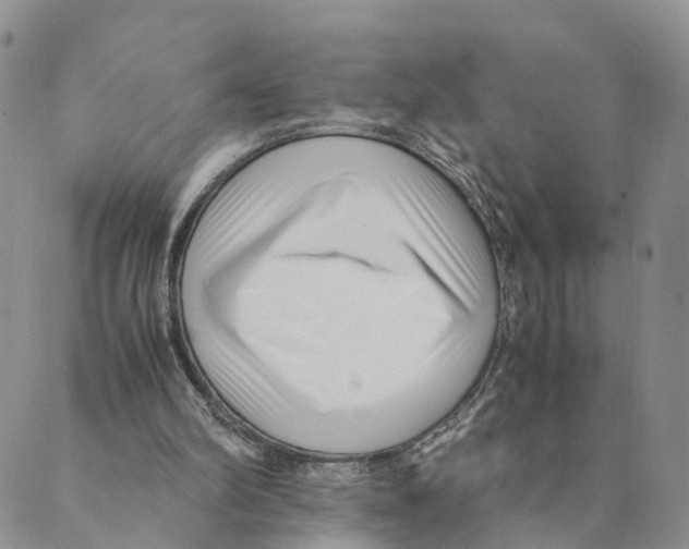 X0000088580102200706221326