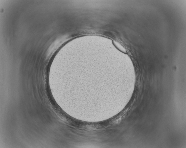 X0000088580103200706221326