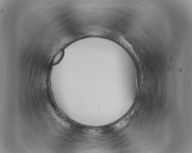 X0000088580106200706221326