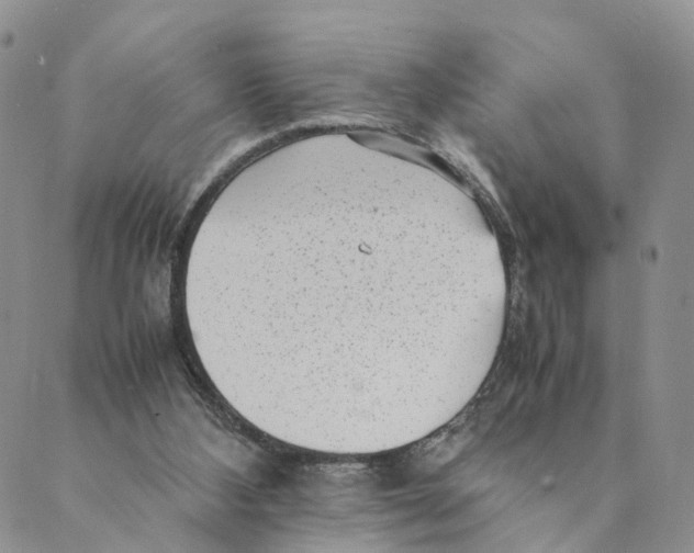 X0000088580108200706221326