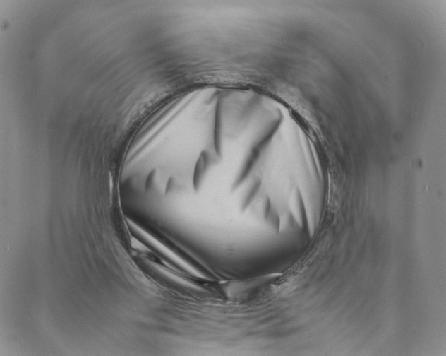 X0000088580109200706221326