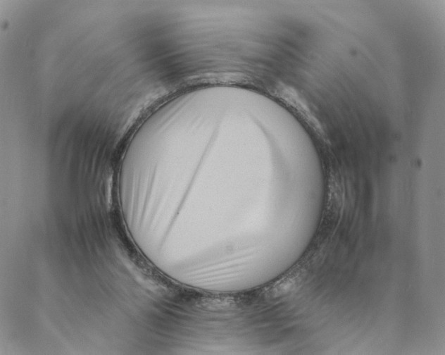 X0000088580110200706221326