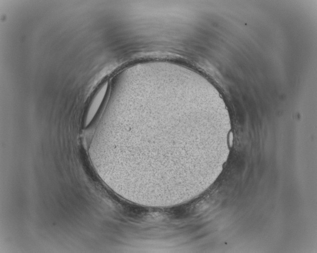 X0000088580111200706221326