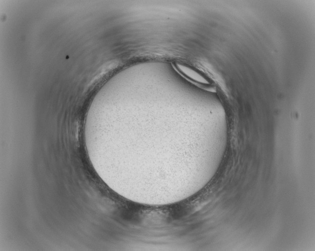 X0000088580115200706221326