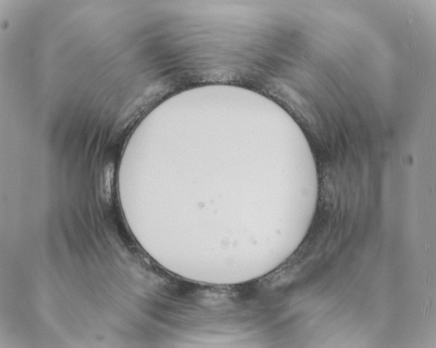 X0000088580118200706221326