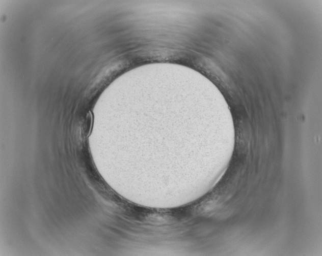 X0000088580119200706221326