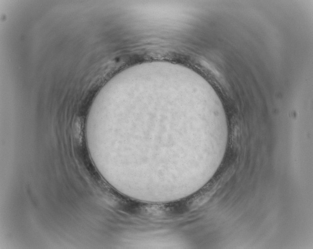 X0000088580121200706221326