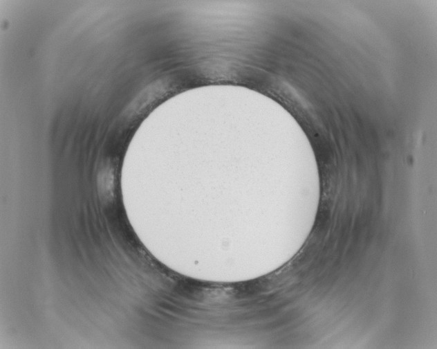 X0000088580124200706221326