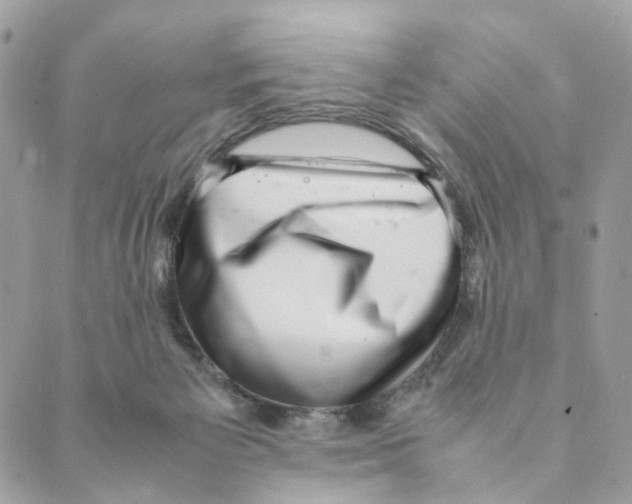 X0000088580125200706221326