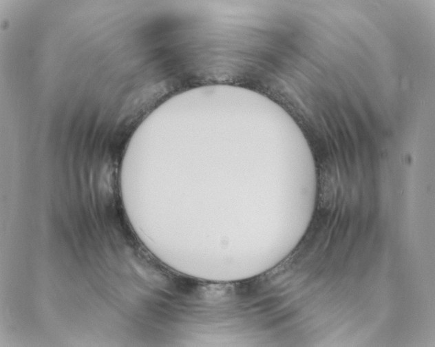 X0000088580126200706221326