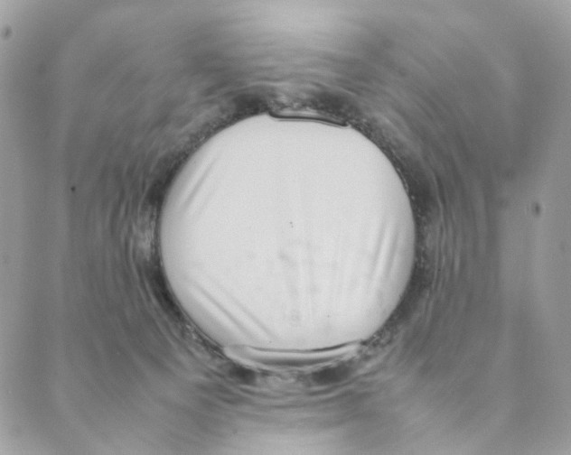 X0000088580129200706221326