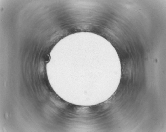 X0000088580132200706221325