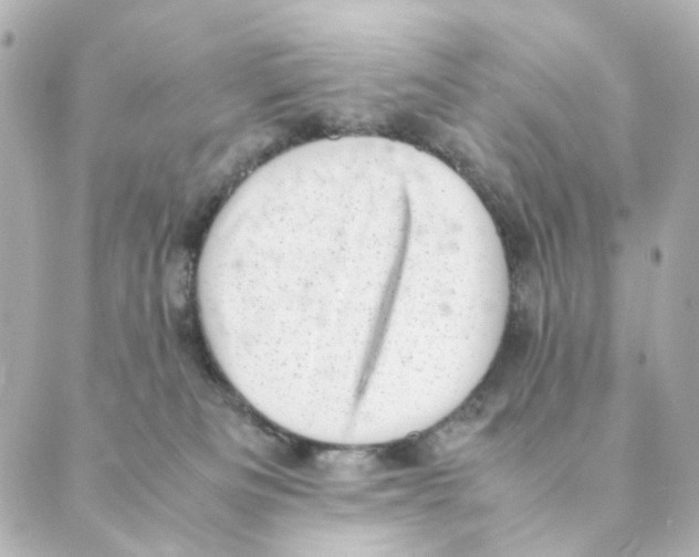 X0000088580133200706221325