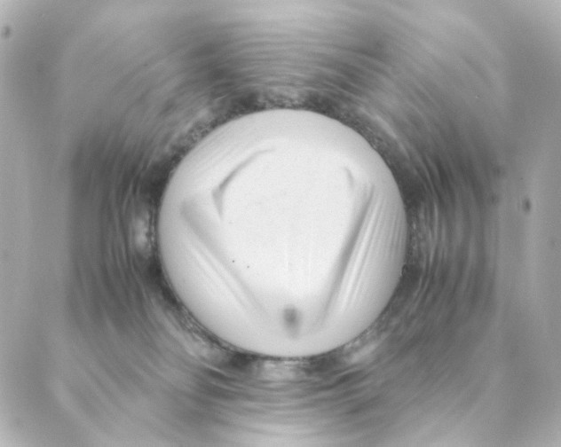 X0000088580134200706221325