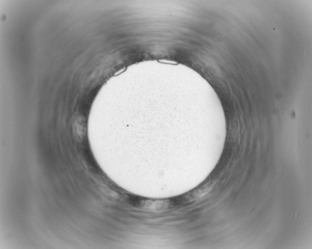 X0000088580135200706221325